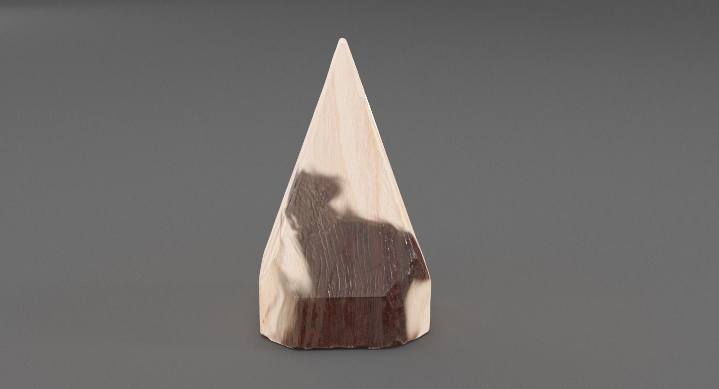 Petrified Wood Pyramid 3D model_6