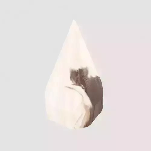 Petrified Wood Pyramid 3D model