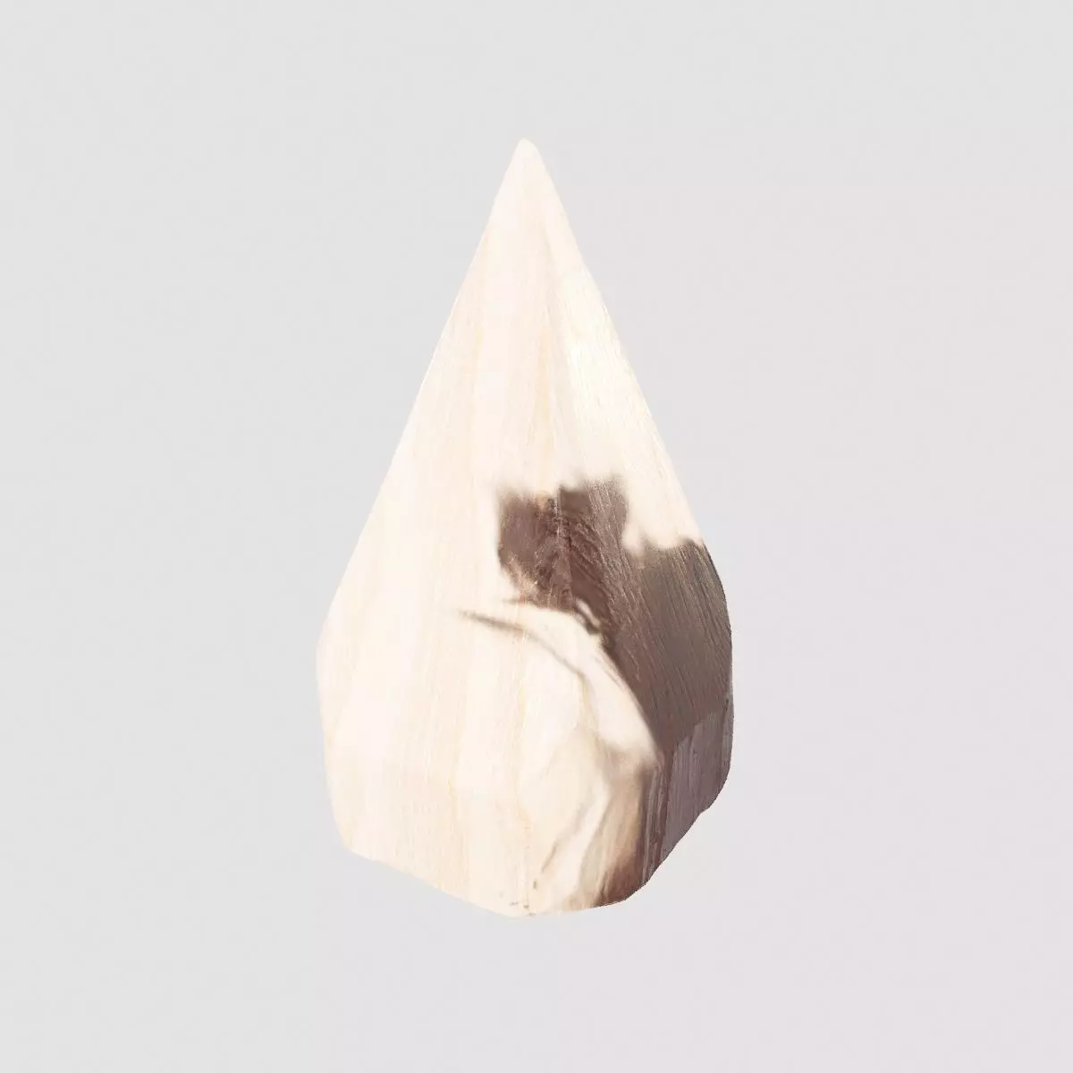 Petrified Wood Pyramid 3D model_0