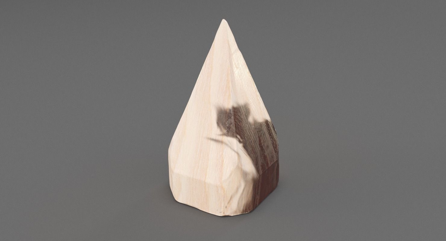 Petrified Wood Pyramid 3D model_2