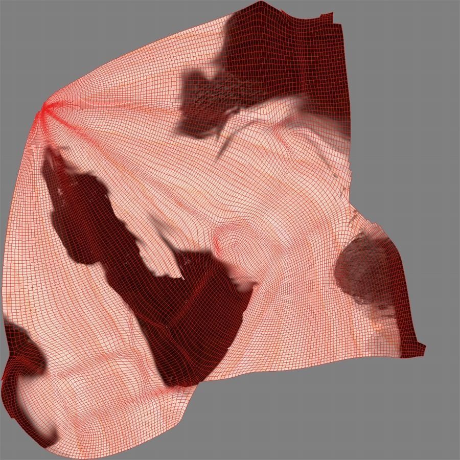 Petrified Wood Pyramid 3D model_8