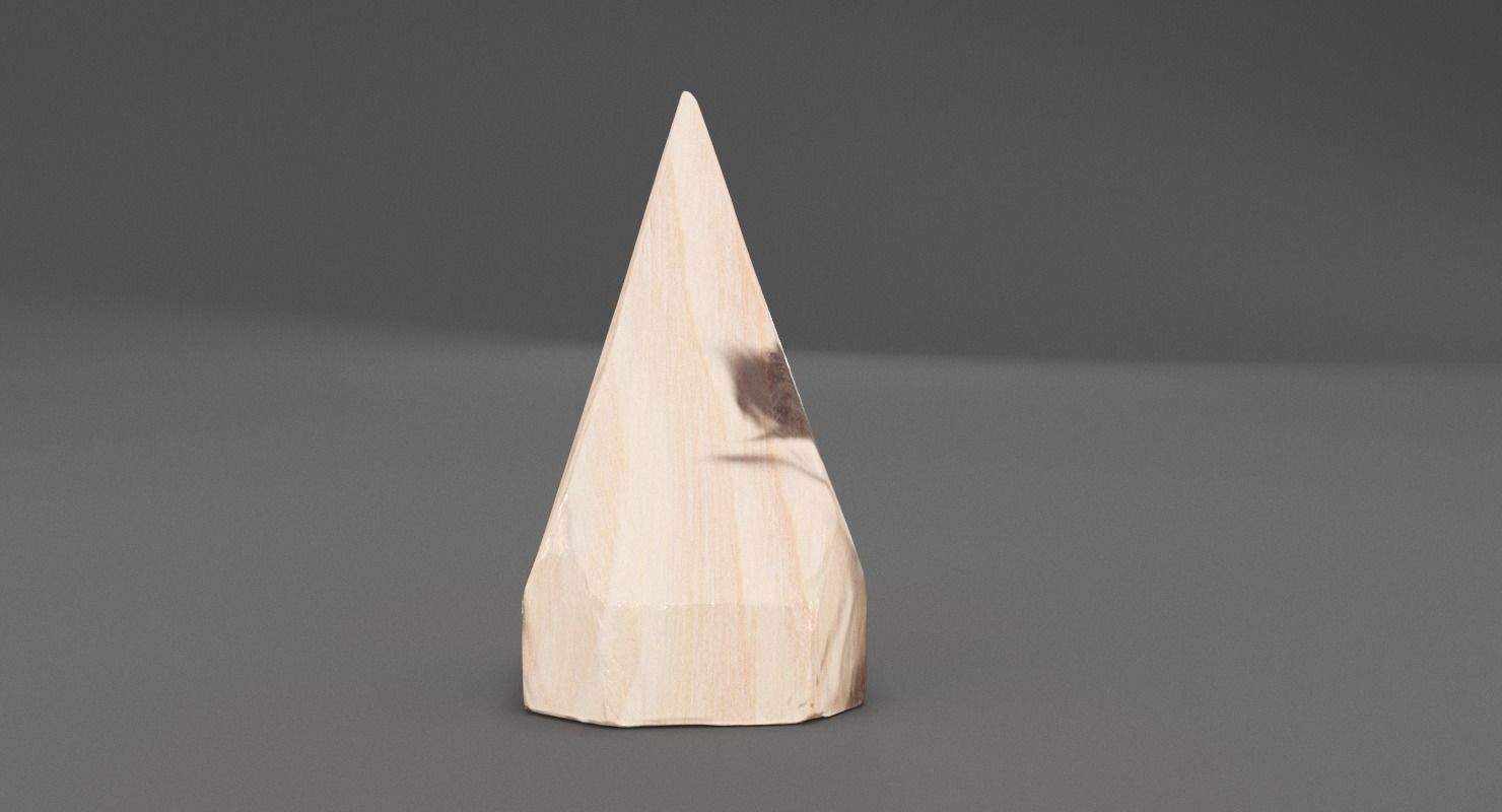 Petrified Wood Pyramid 3D model_5