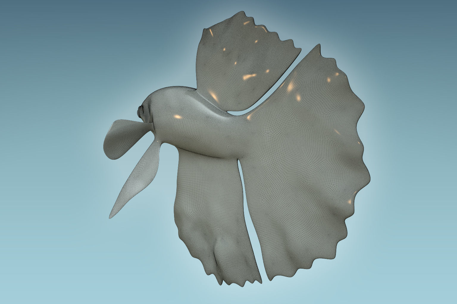 Betta Fish 10 3D model_7