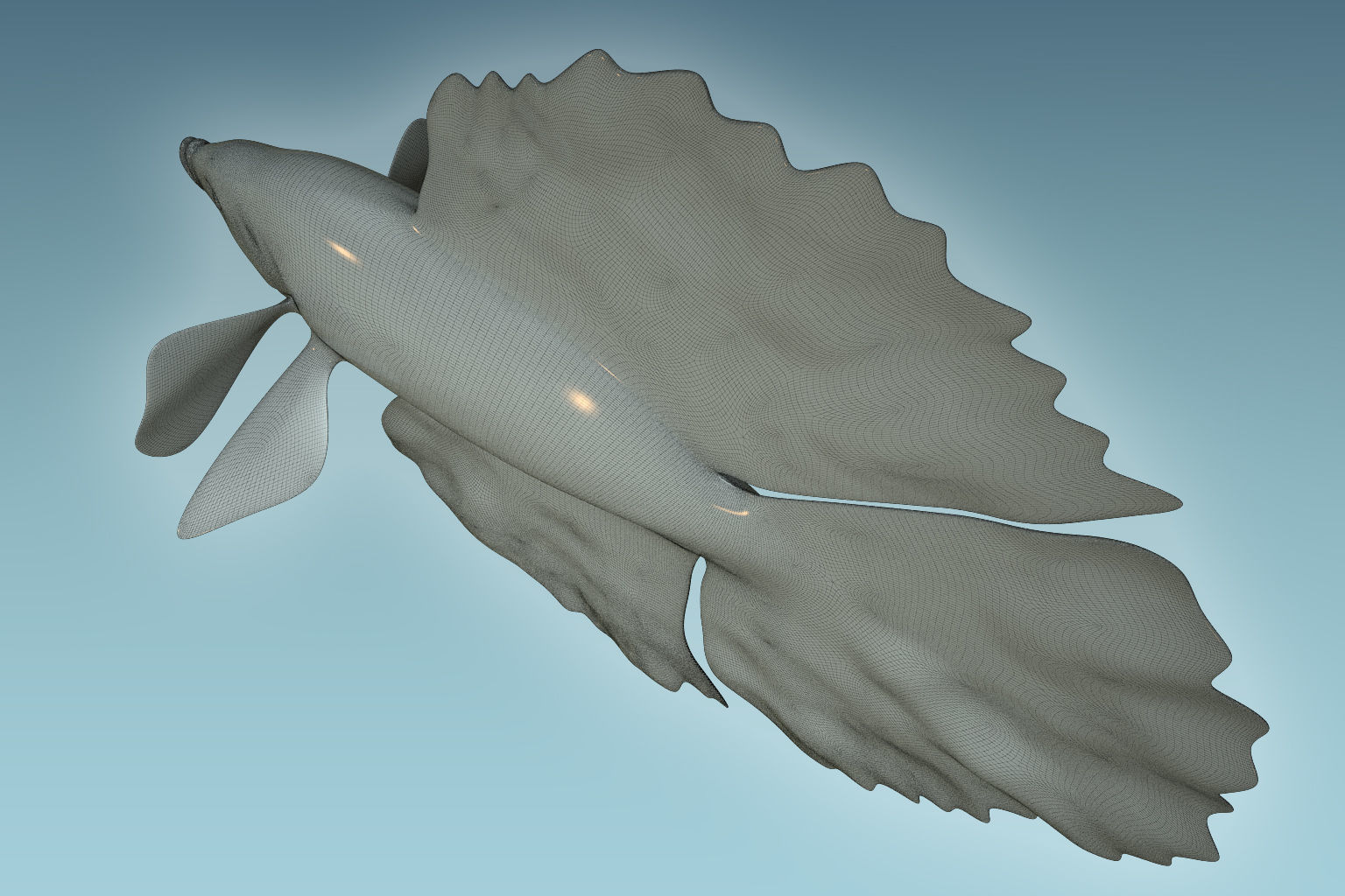 Betta Fish 10 3D model_8