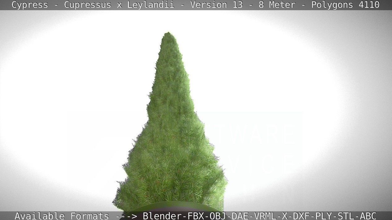 Cypress - Cupressus x Leylandii - Version 13 - 8 Meter Low-poly 3D model_18