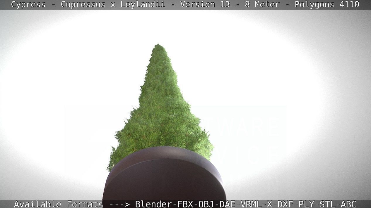 Cypress - Cupressus x Leylandii - Version 13 - 8 Meter Low-poly 3D model_68