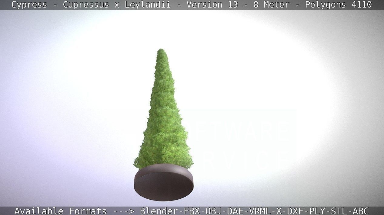 Cypress - Cupressus x Leylandii - Version 13 - 8 Meter Low-poly 3D model_32
