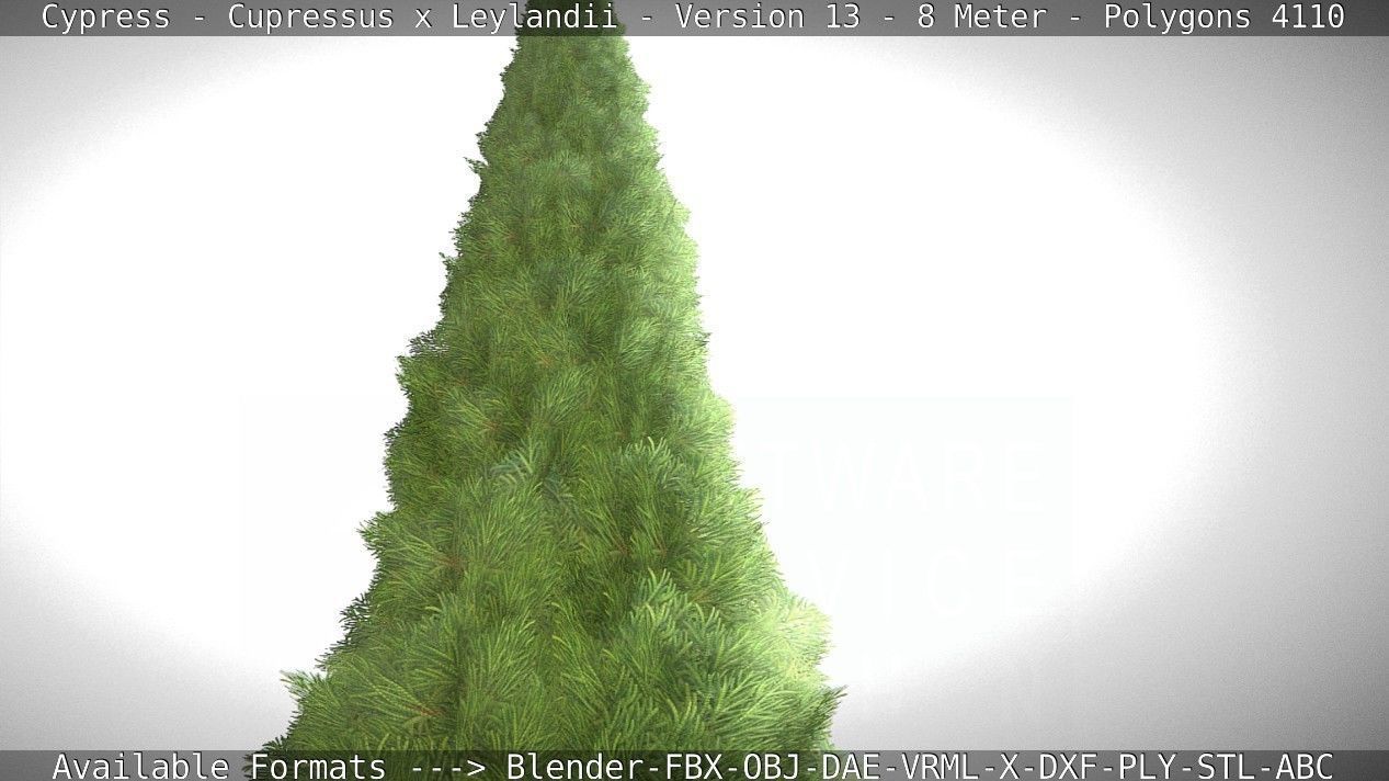 Cypress - Cupressus x Leylandii - Version 13 - 8 Meter Low-poly 3D model_69
