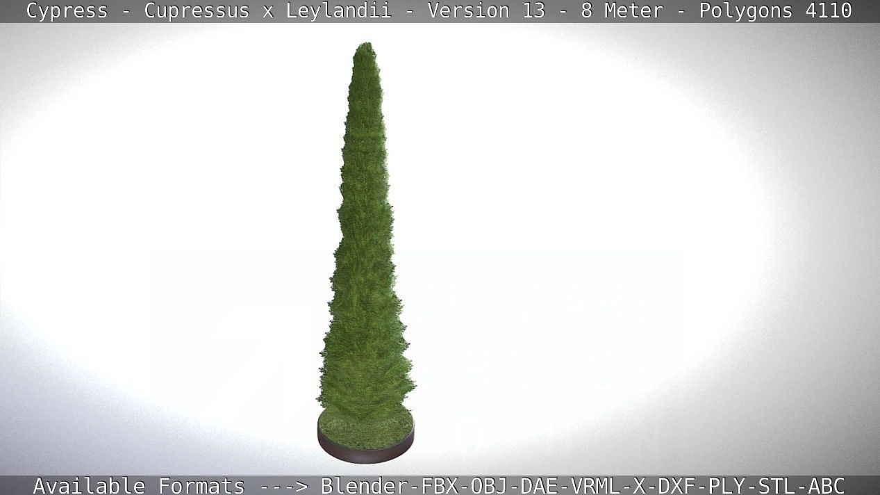 Cypress - Cupressus x Leylandii - Version 13 - 8 Meter Low-poly 3D model_59