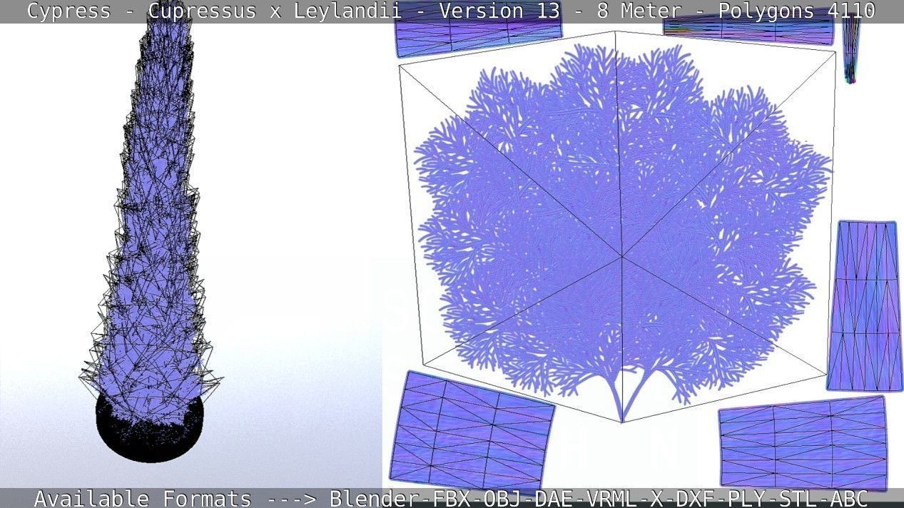 Cypress - Cupressus x Leylandii - Version 13 - 8 Meter Low-poly 3D model_5