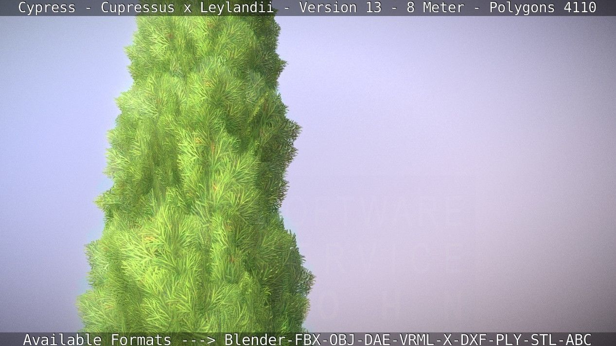 Cypress - Cupressus x Leylandii - Version 13 - 8 Meter Low-poly 3D model_53