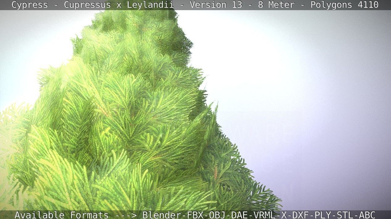 Cypress - Cupressus x Leylandii - Version 13 - 8 Meter Low-poly 3D model_54