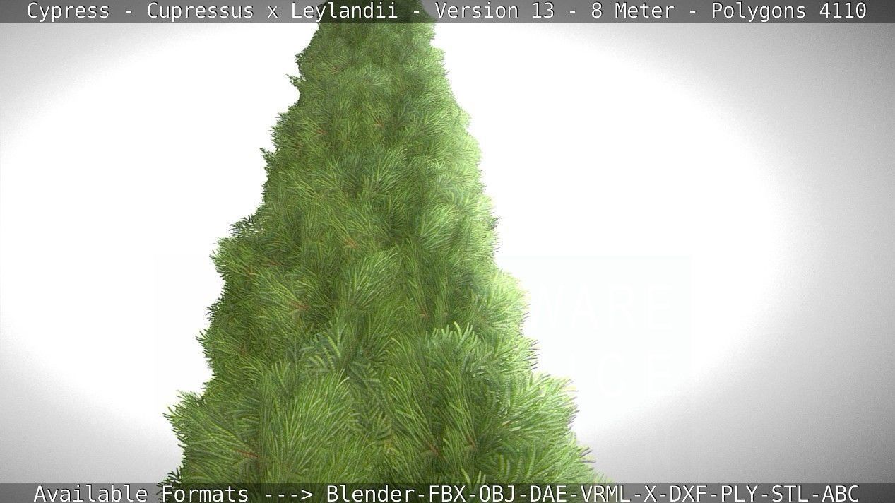 Cypress - Cupressus x Leylandii - Version 13 - 8 Meter Low-poly 3D model_62