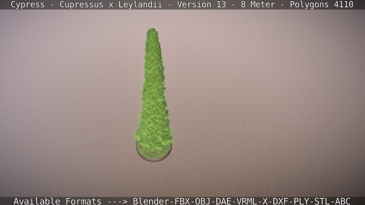 Cypress - Cupressus x Leylandii - Version 13 - 8 Meter Low-poly 3D model_45
