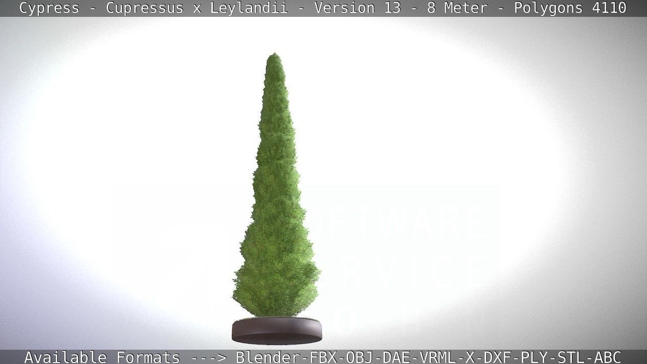 Cypress - Cupressus x Leylandii - Version 13 - 8 Meter Low-poly 3D model_22