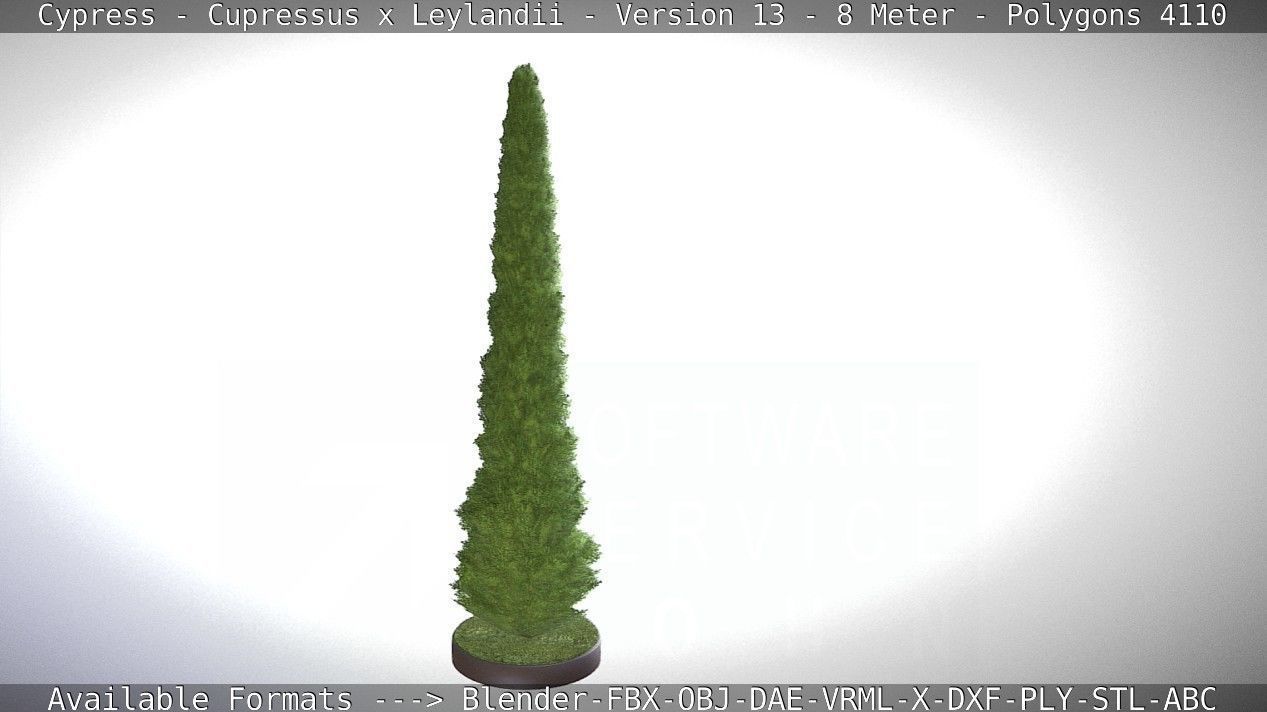 Cypress - Cupressus x Leylandii - Version 13 - 8 Meter Low-poly 3D model_61