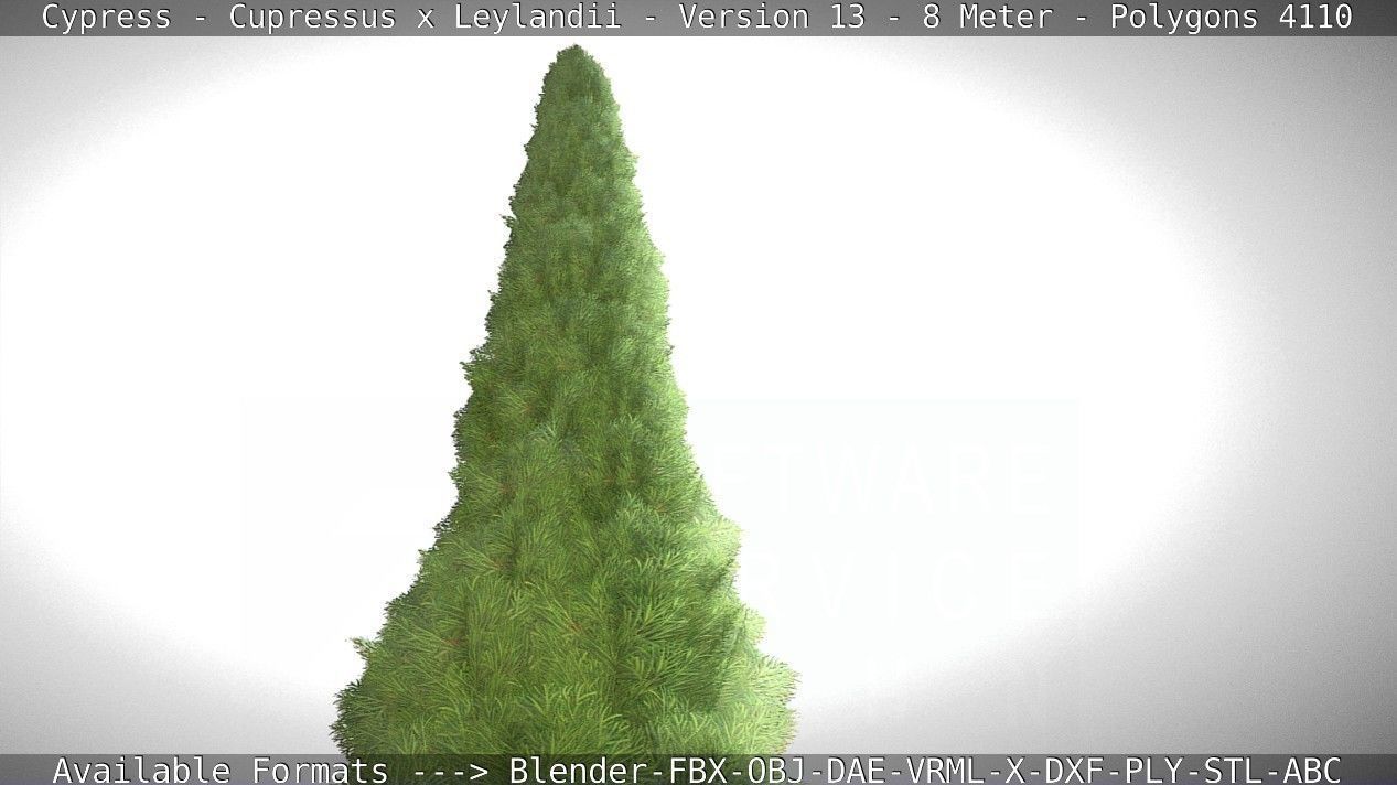 Cypress - Cupressus x Leylandii - Version 13 - 8 Meter Low-poly 3D model_63