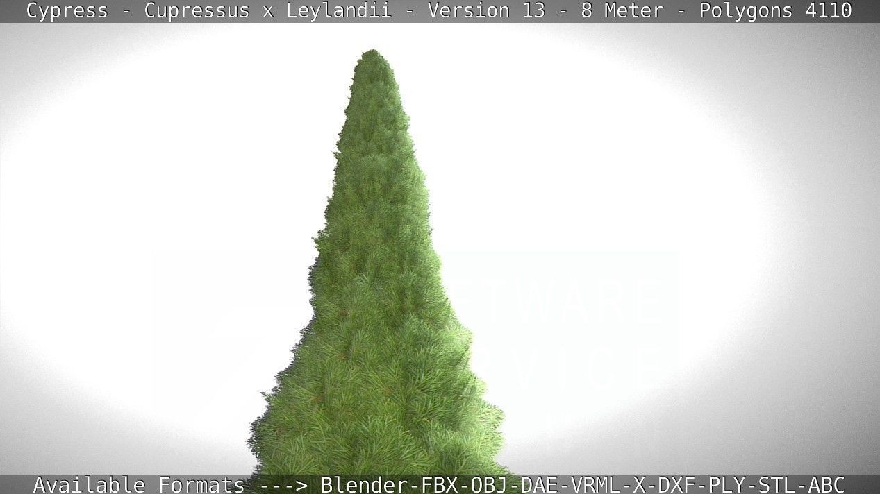 Cypress - Cupressus x Leylandii - Version 13 - 8 Meter Low-poly 3D model_65