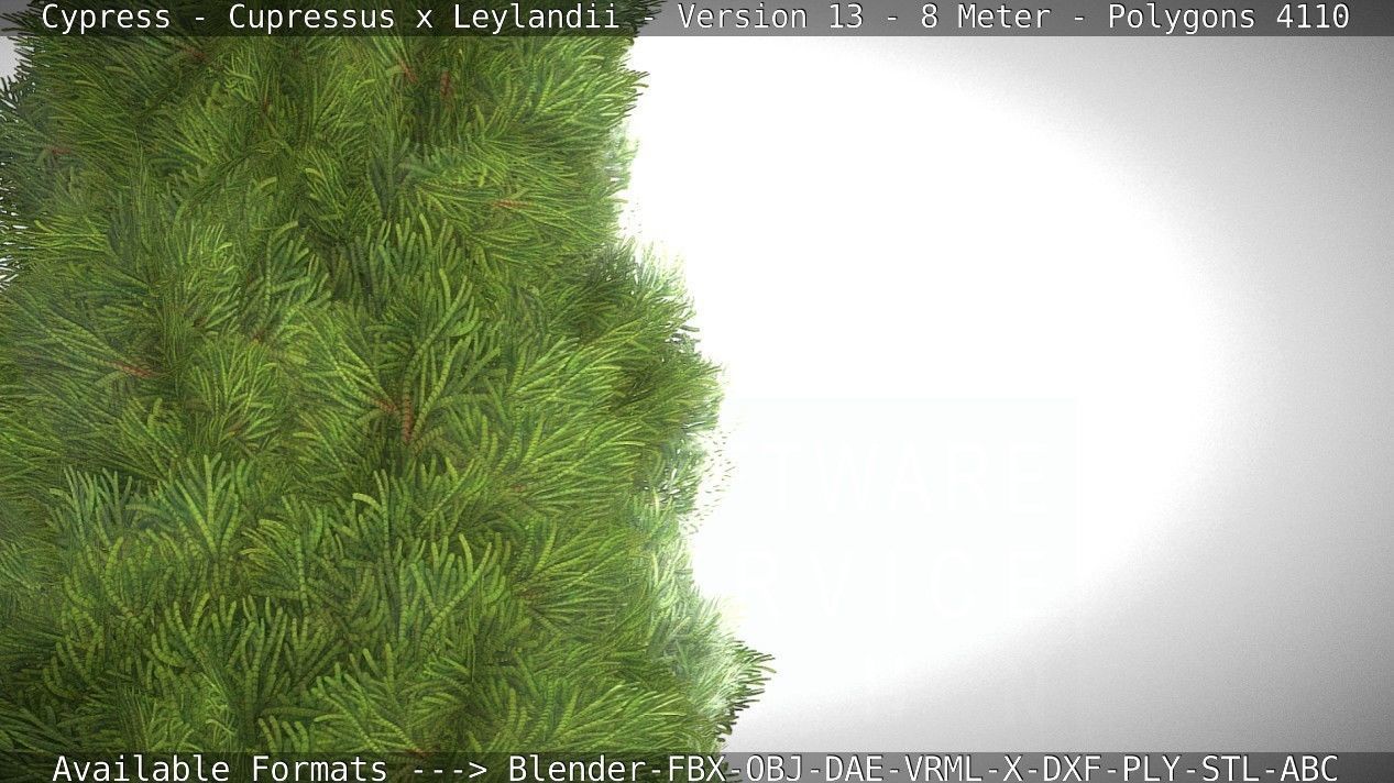 Cypress - Cupressus x Leylandii - Version 13 - 8 Meter Low-poly 3D model_21