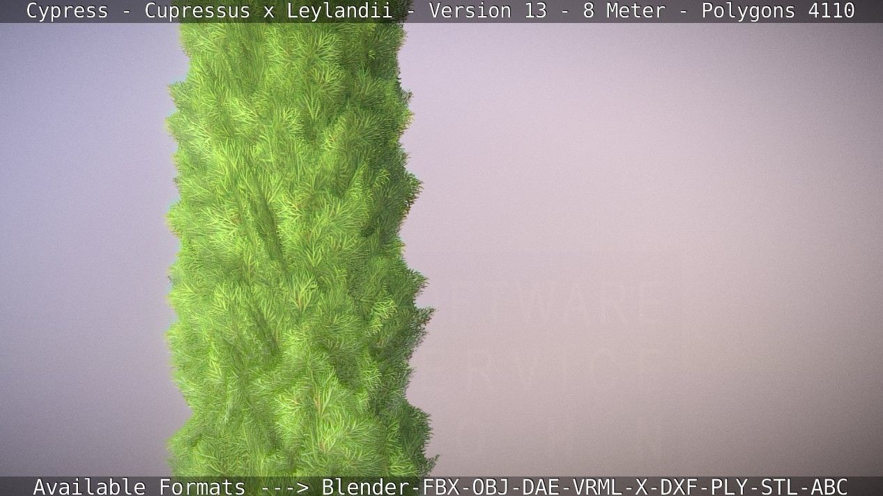 Cypress - Cupressus x Leylandii - Version 13 - 8 Meter Low-poly 3D model_14