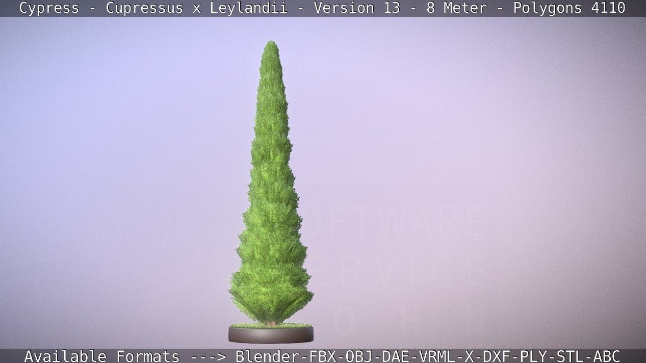 Cypress - Cupressus x Leylandii - Version 13 - 8 Meter Low-poly 3D model_37