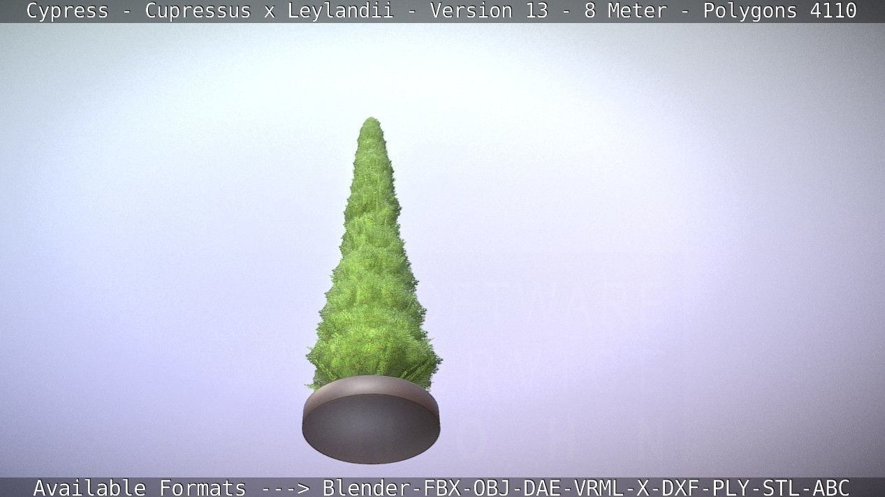 Cypress - Cupressus x Leylandii - Version 13 - 8 Meter Low-poly 3D model_67