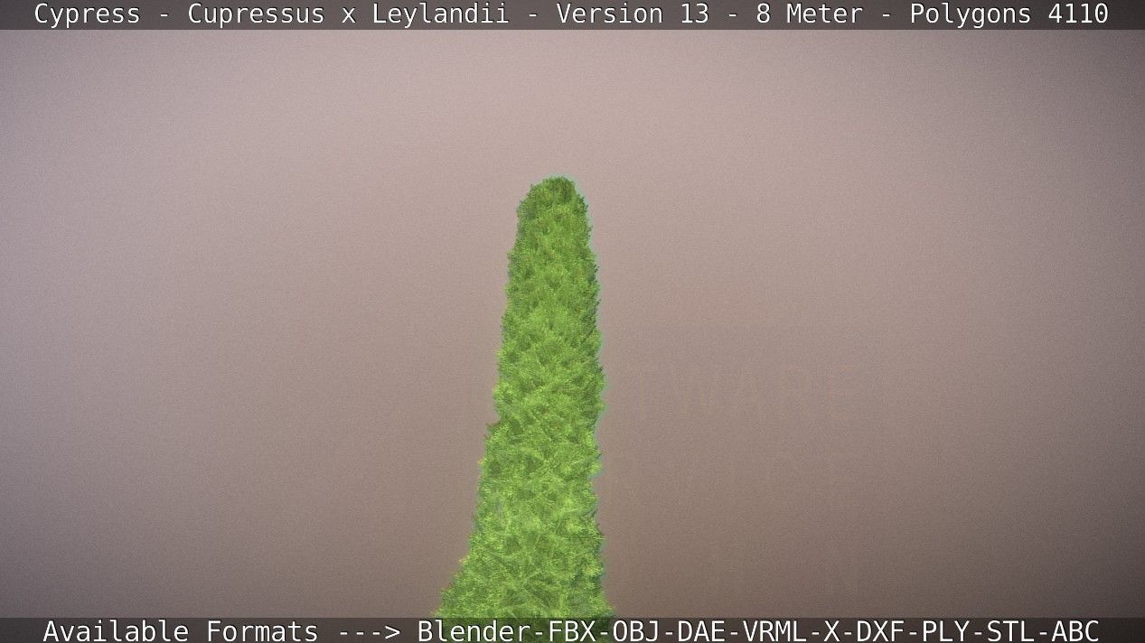 Cypress - Cupressus x Leylandii - Version 13 - 8 Meter Low-poly 3D model_41