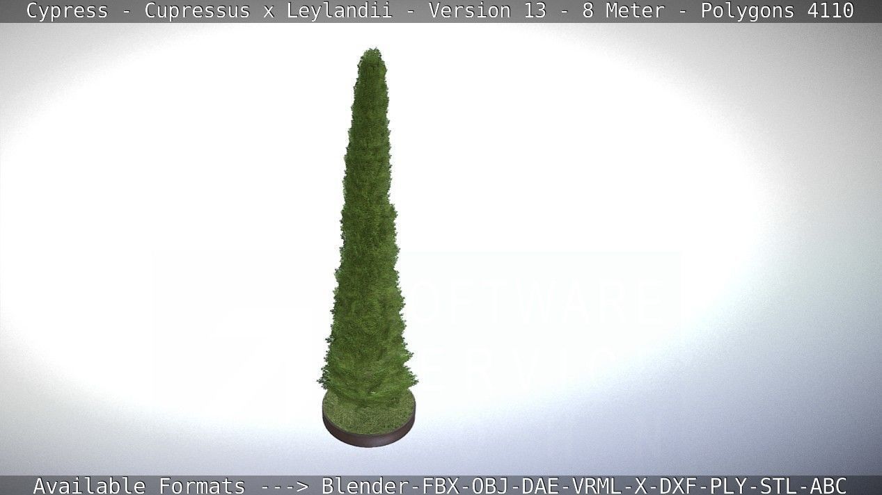 Cypress - Cupressus x Leylandii - Version 13 - 8 Meter Low-poly 3D model_23