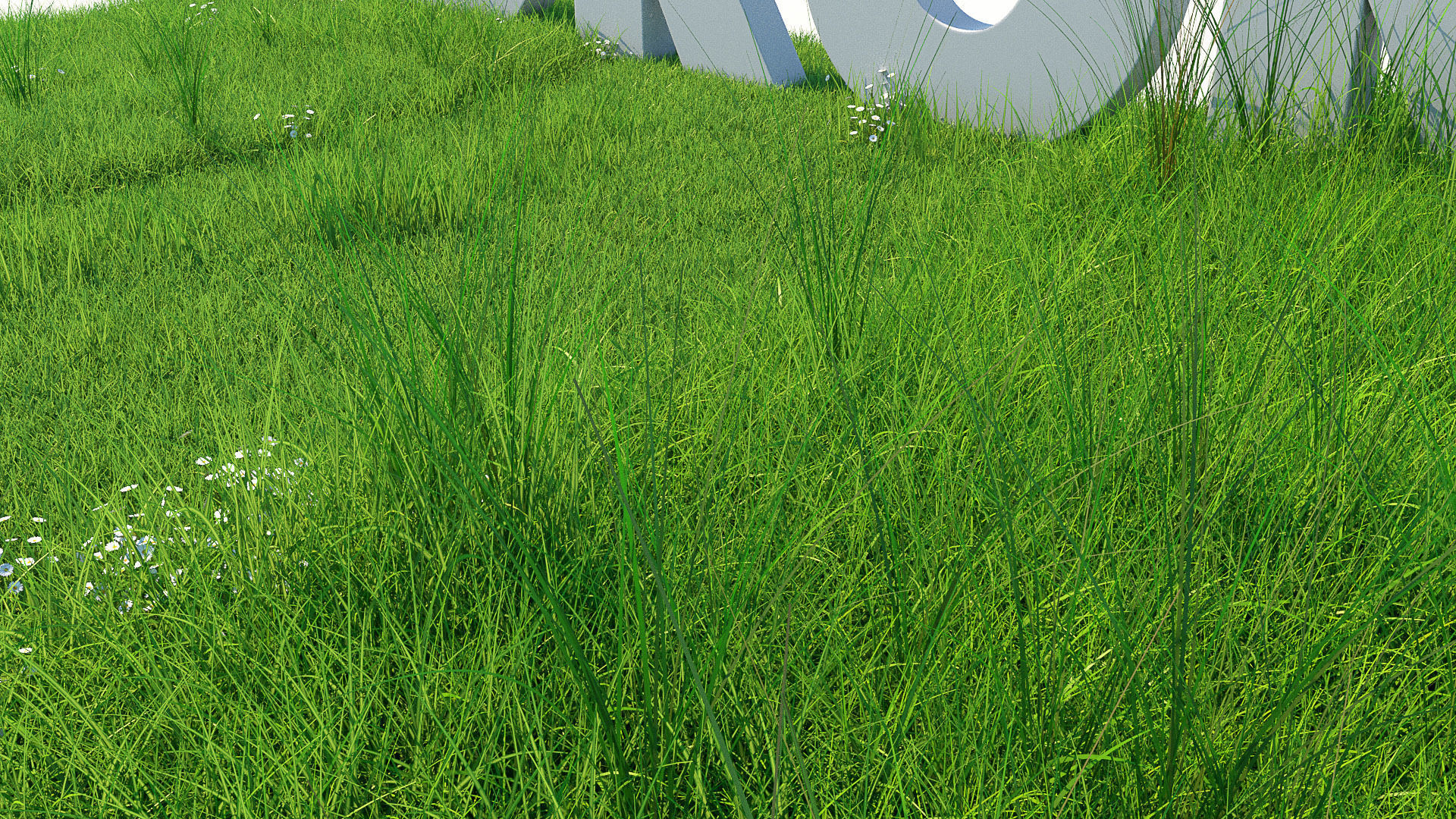 Grass Kit III for C4D and Corona render 3D model_6