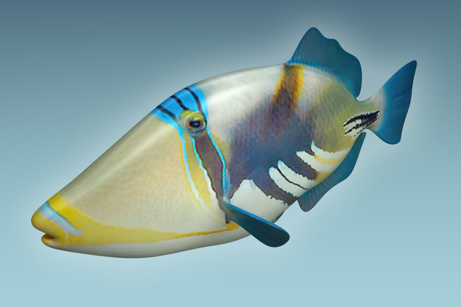 Trigerfish 2 tropical fish 3D model_2