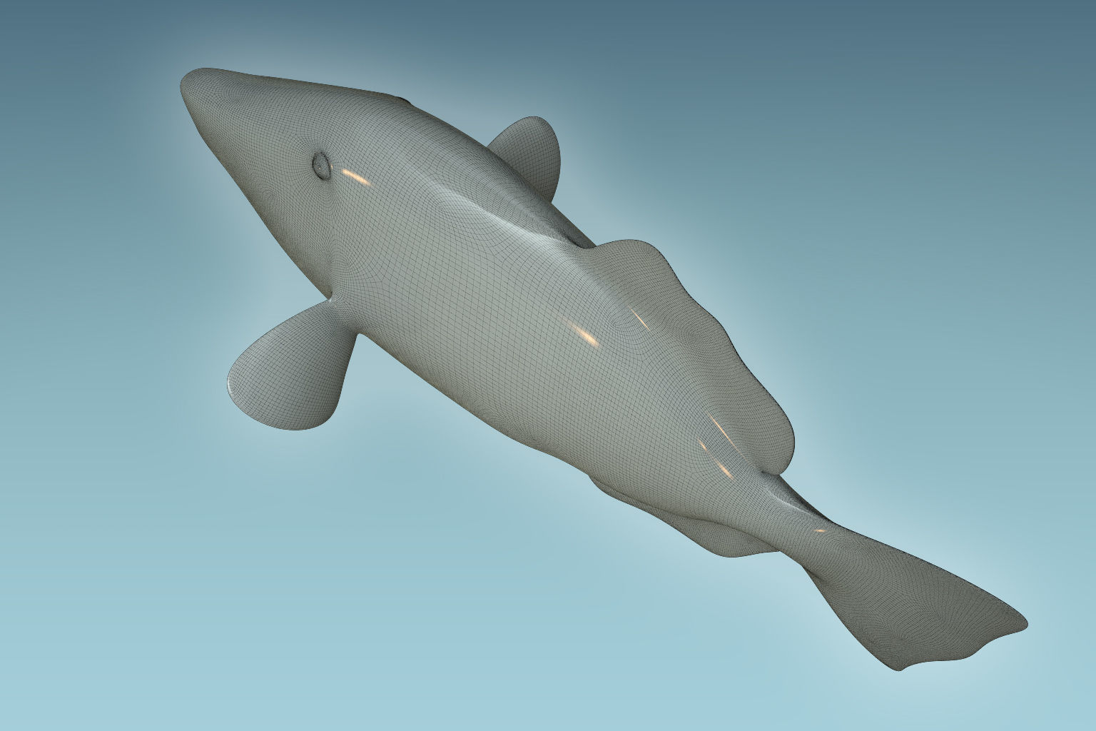 Trigerfish 2 tropical fish 3D model_8