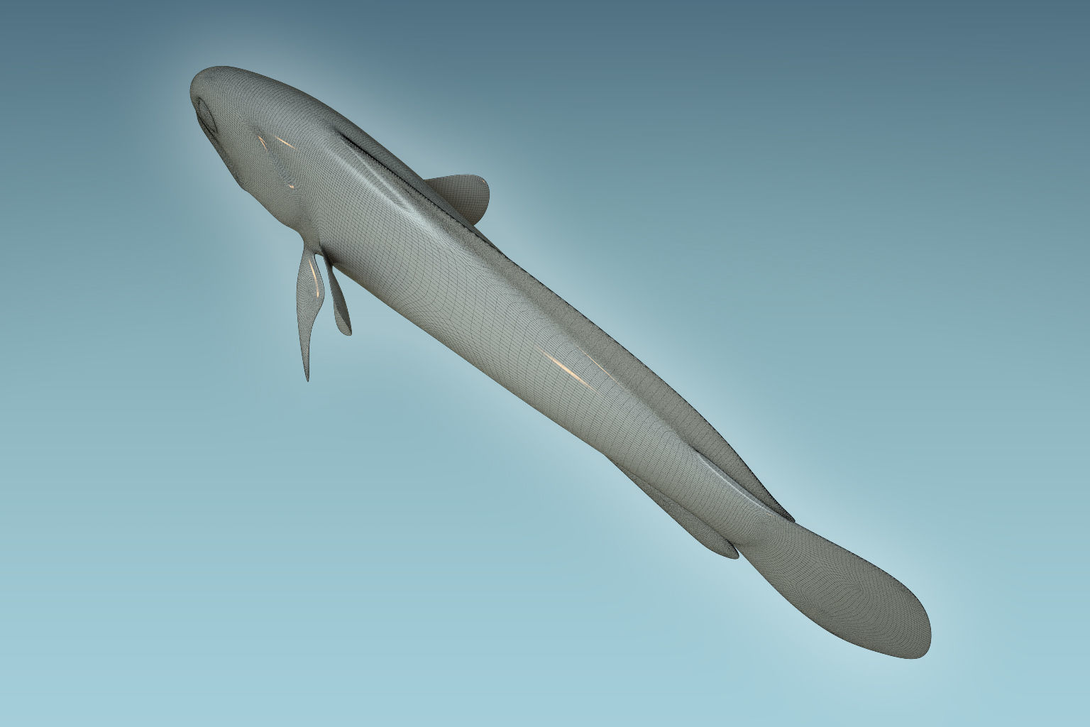 Yellow Head Fish 3D model_8