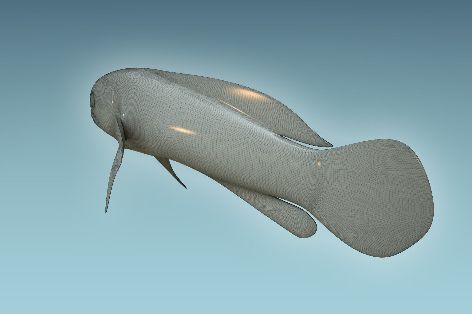 Yellow Head Fish 3D model_7