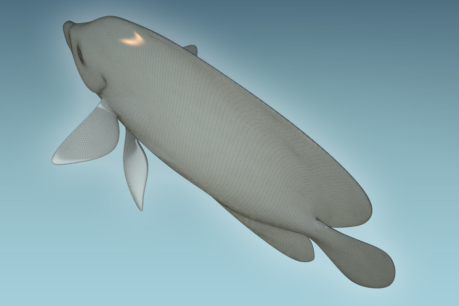 Anglefish 13 3D model_8