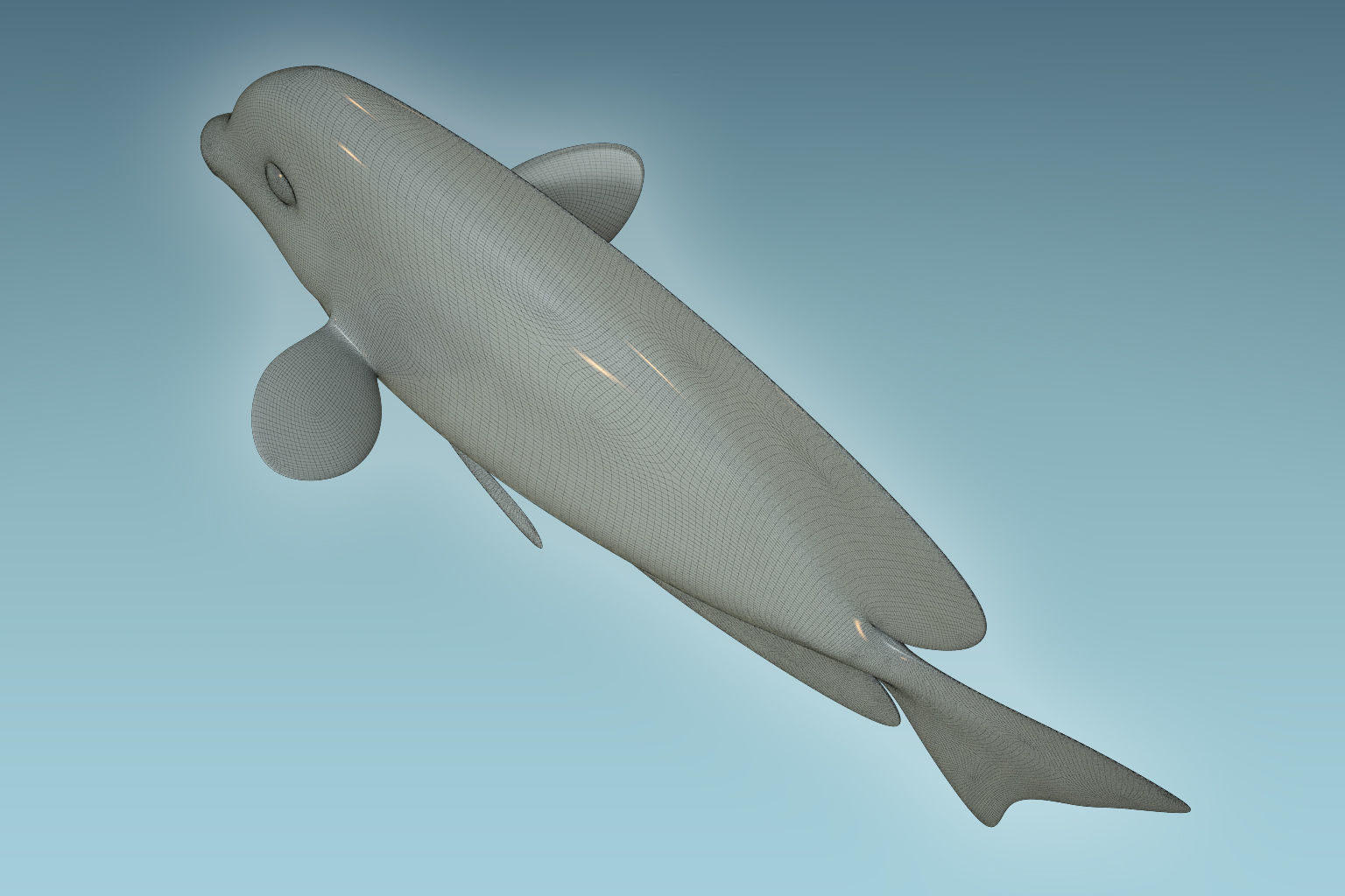 Zebrasoma Fish 3D model_8