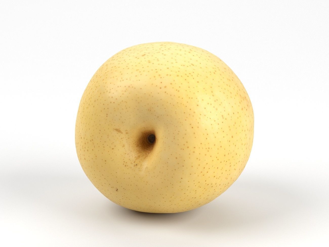 Photorealistic Nashi Pear 3D Scan 3D model_4