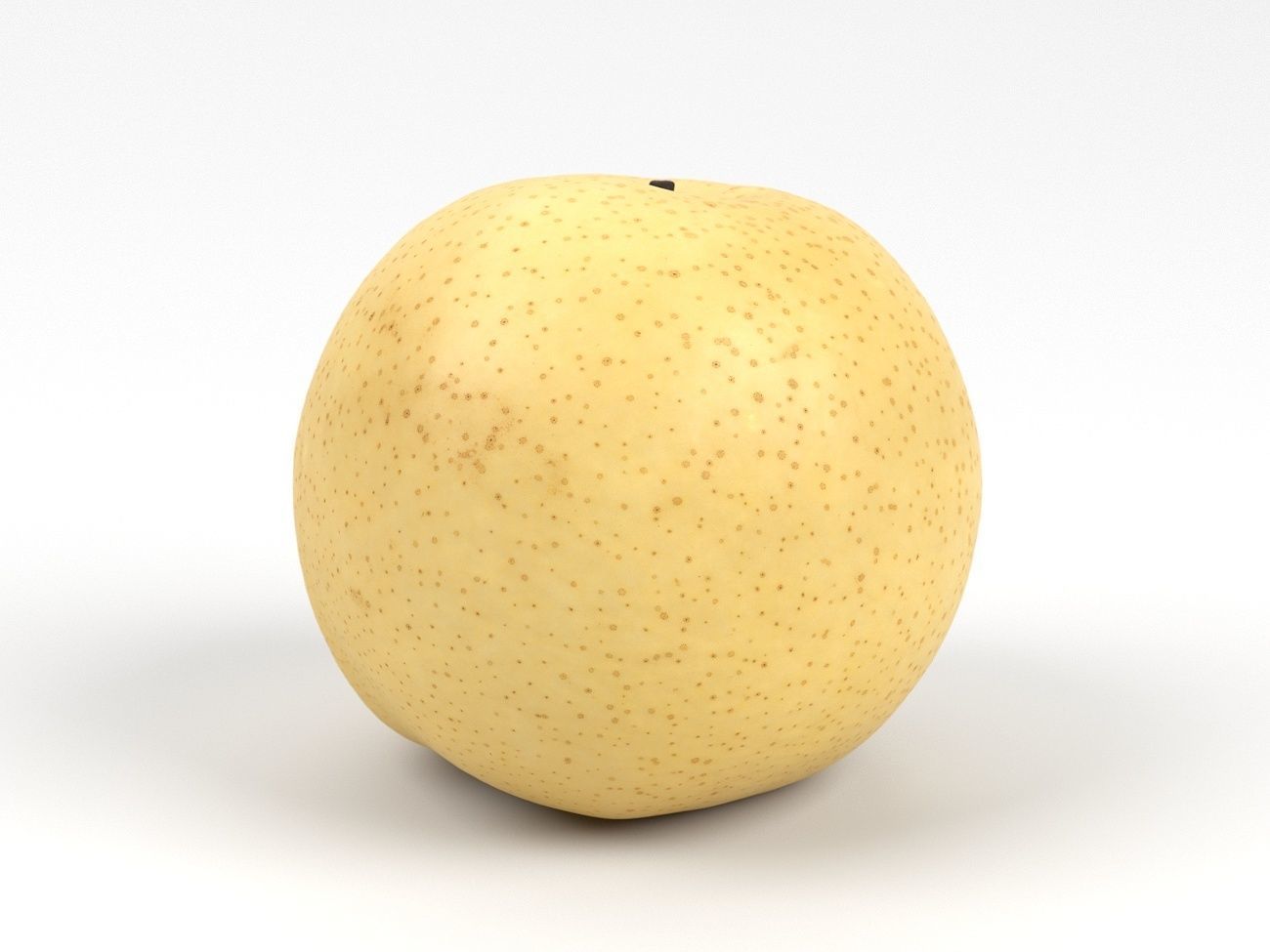Photorealistic Nashi Pear 3D Scan 3D model_1