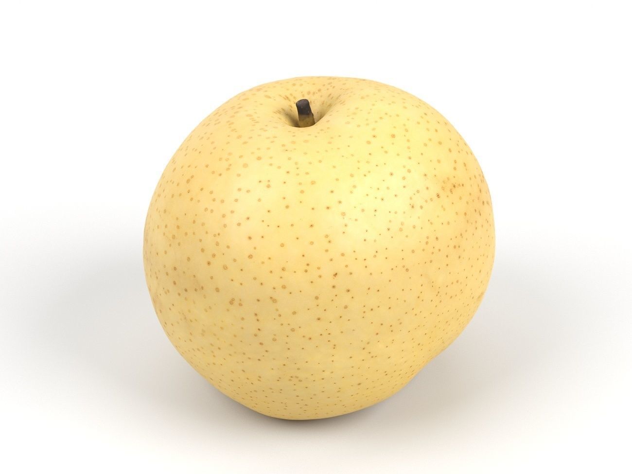 Photorealistic Nashi Pear 3D Scan 3D model_2