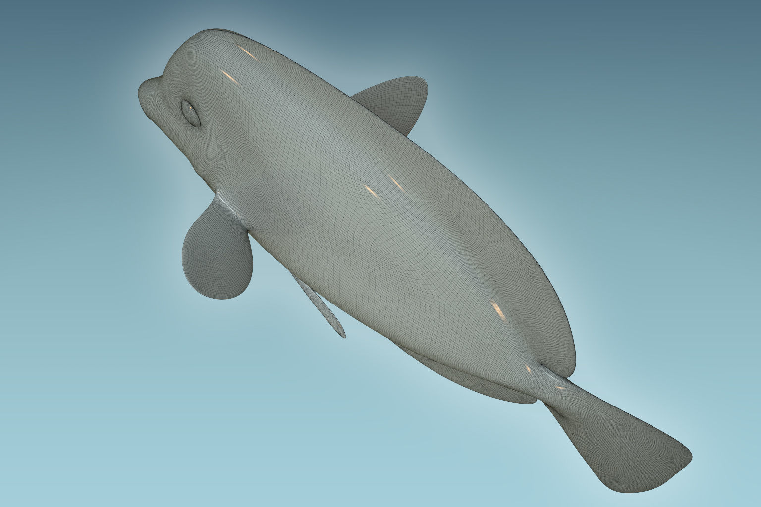 Zebrasoma Fish 5 3D model_8