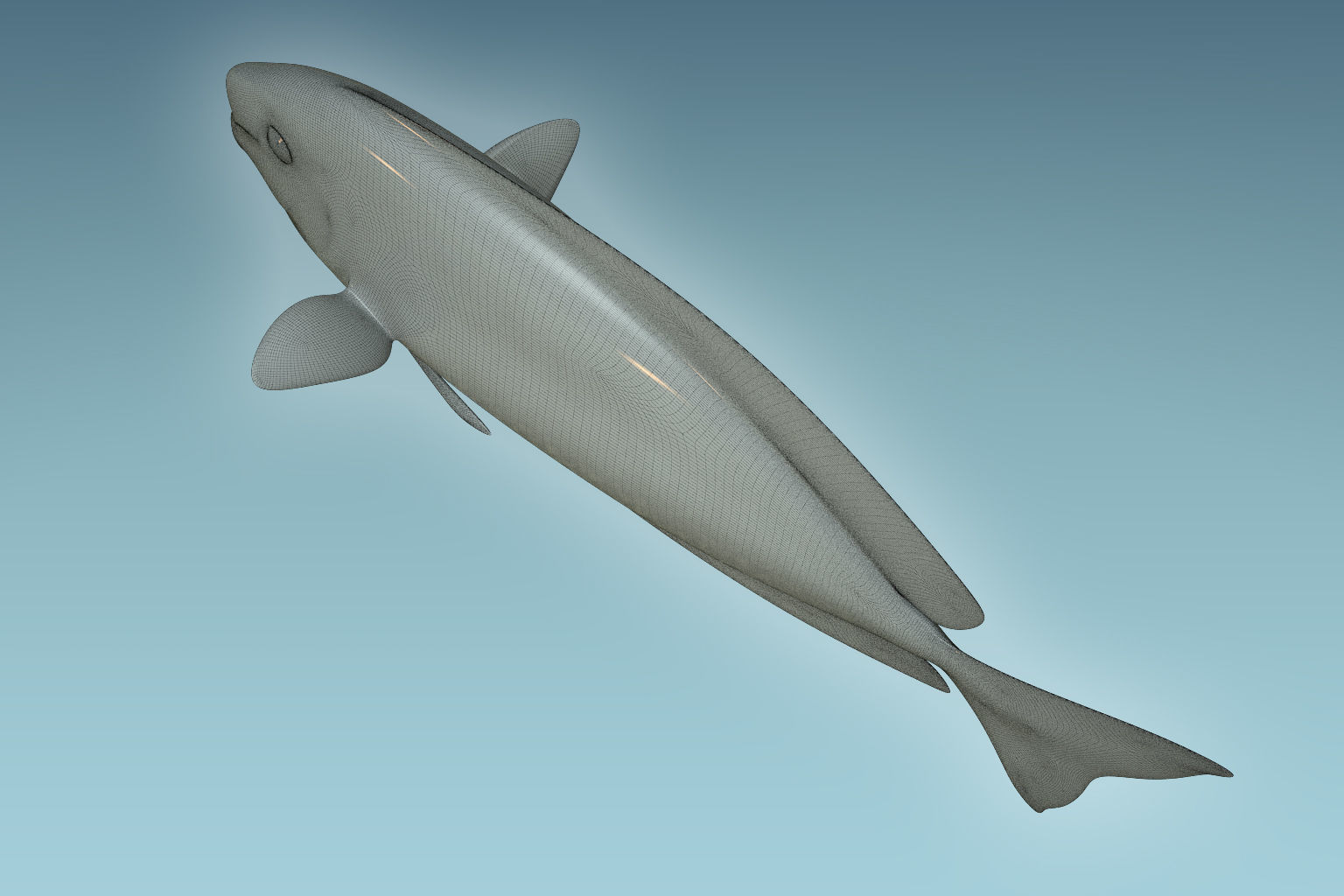 Pale Fish 3D model_8