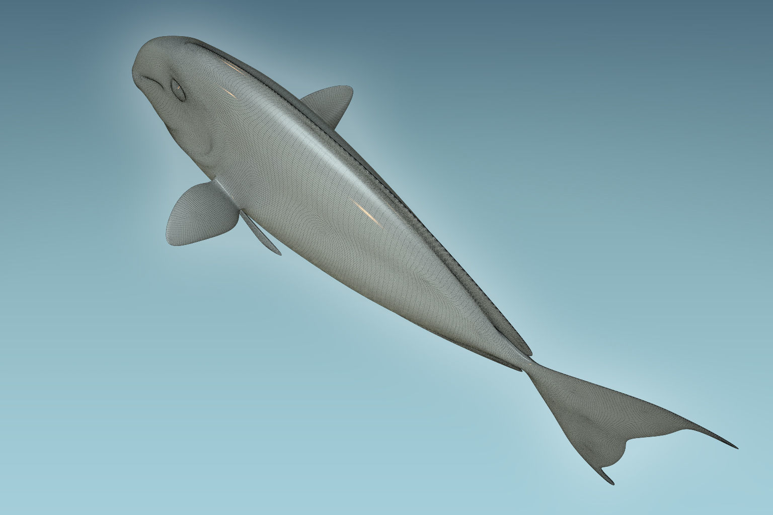 Pale Fish 2 3D model_8