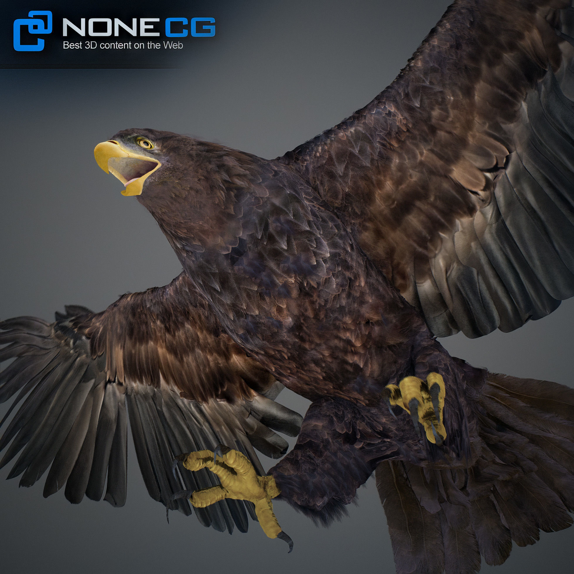 Animated Golden Eagle 3D model_21
