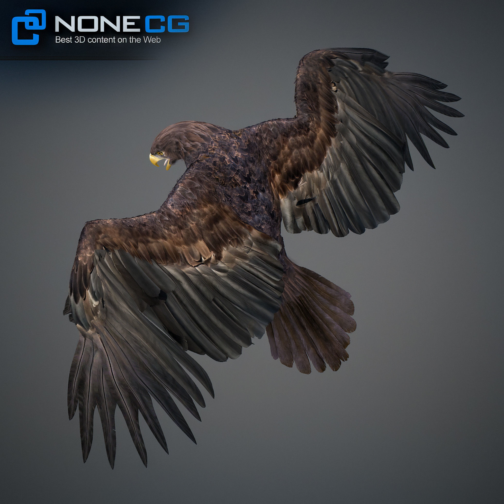 Animated Golden Eagle 3D model_24