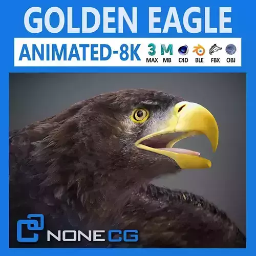 Animated Golden Eagle