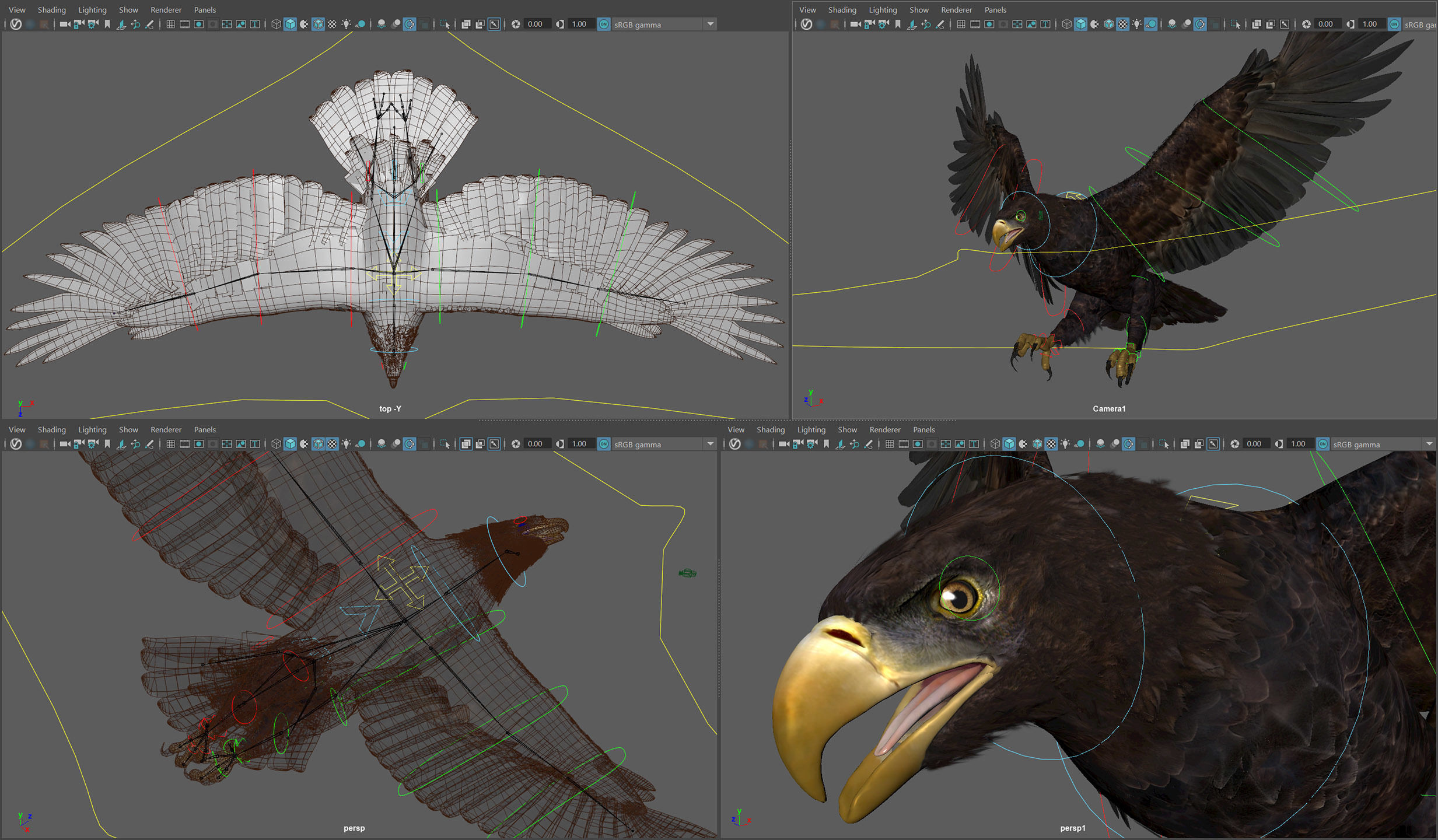 Animated Golden Eagle 3D model_8