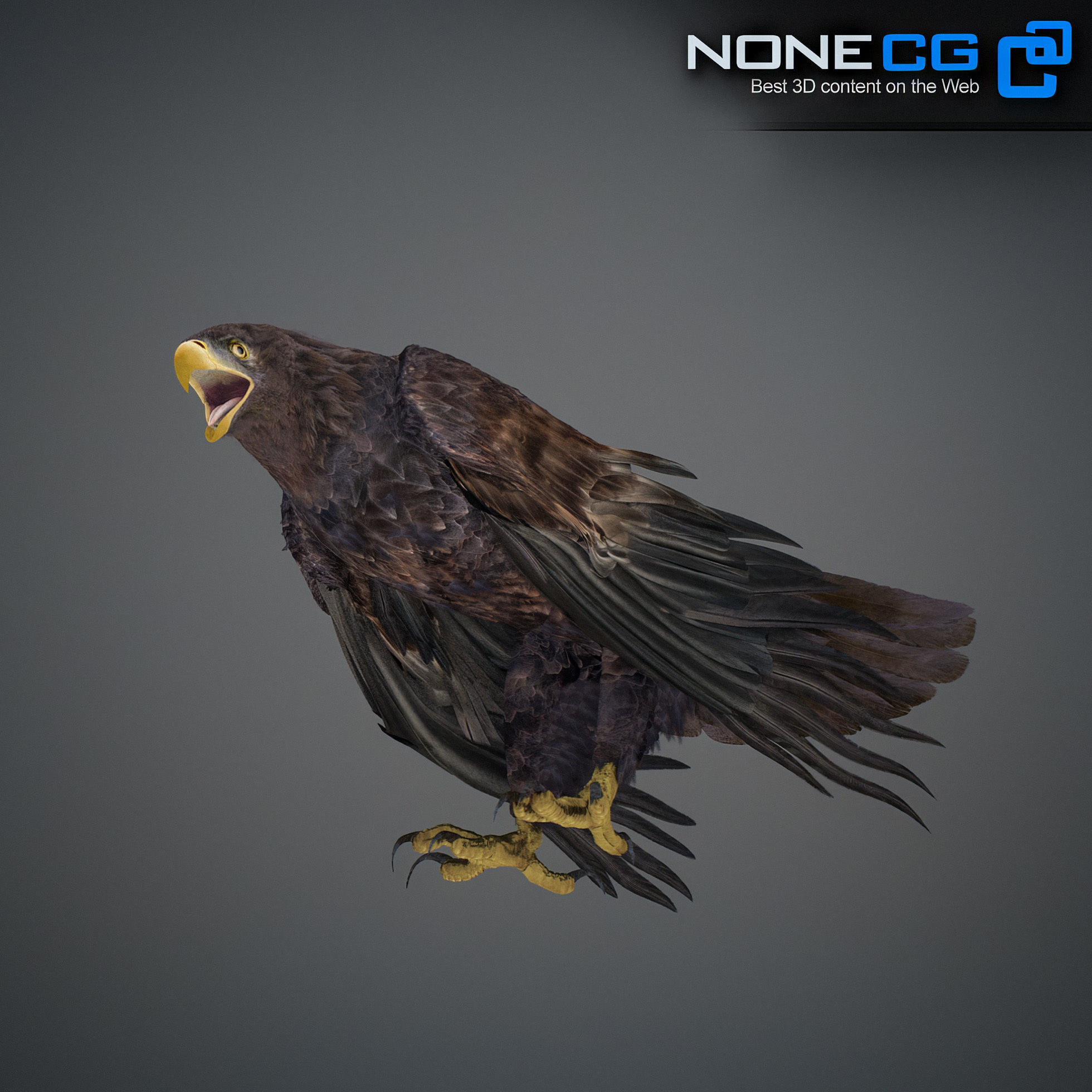 Animated Golden Eagle 3D model_16