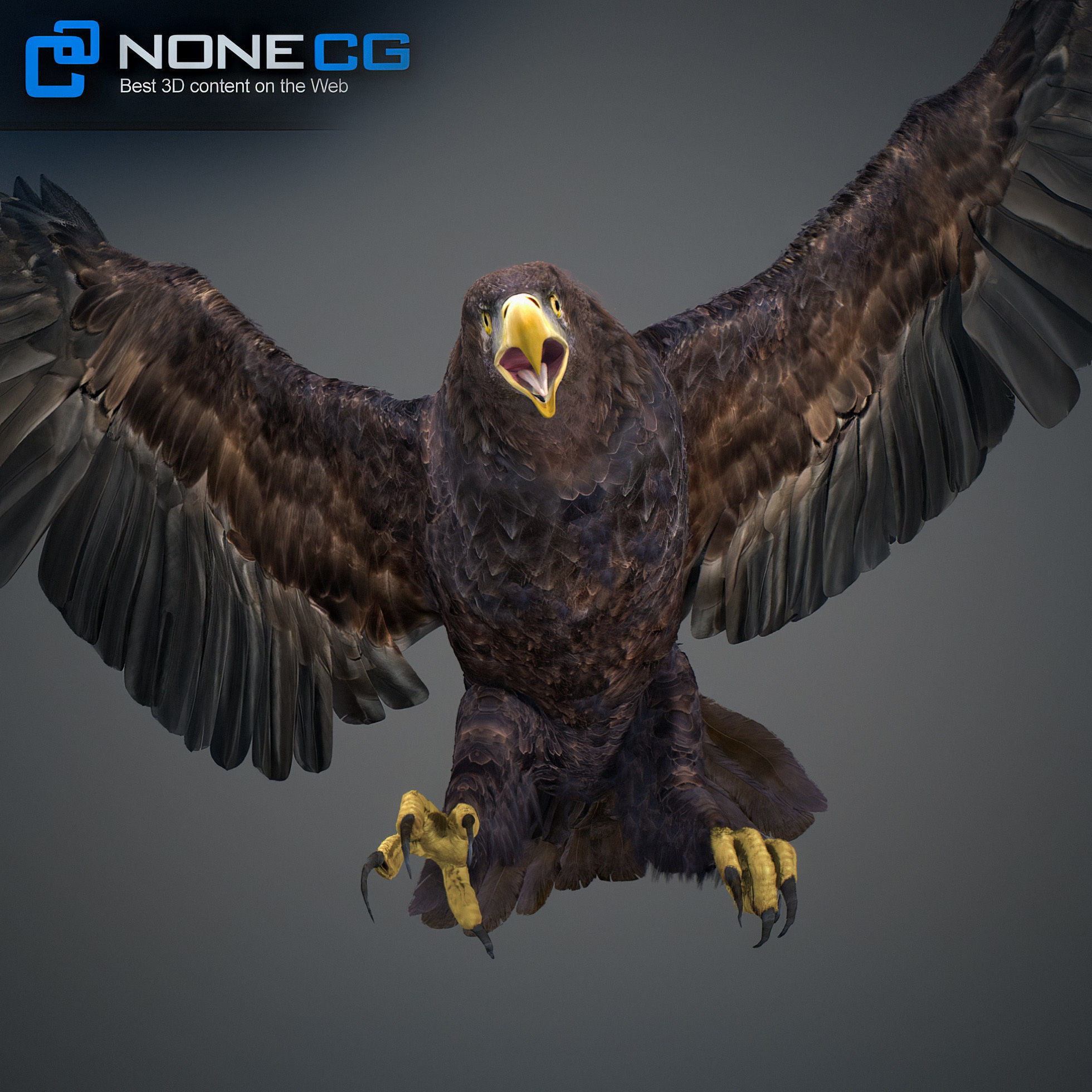 Animated Golden Eagle 3D model_17
