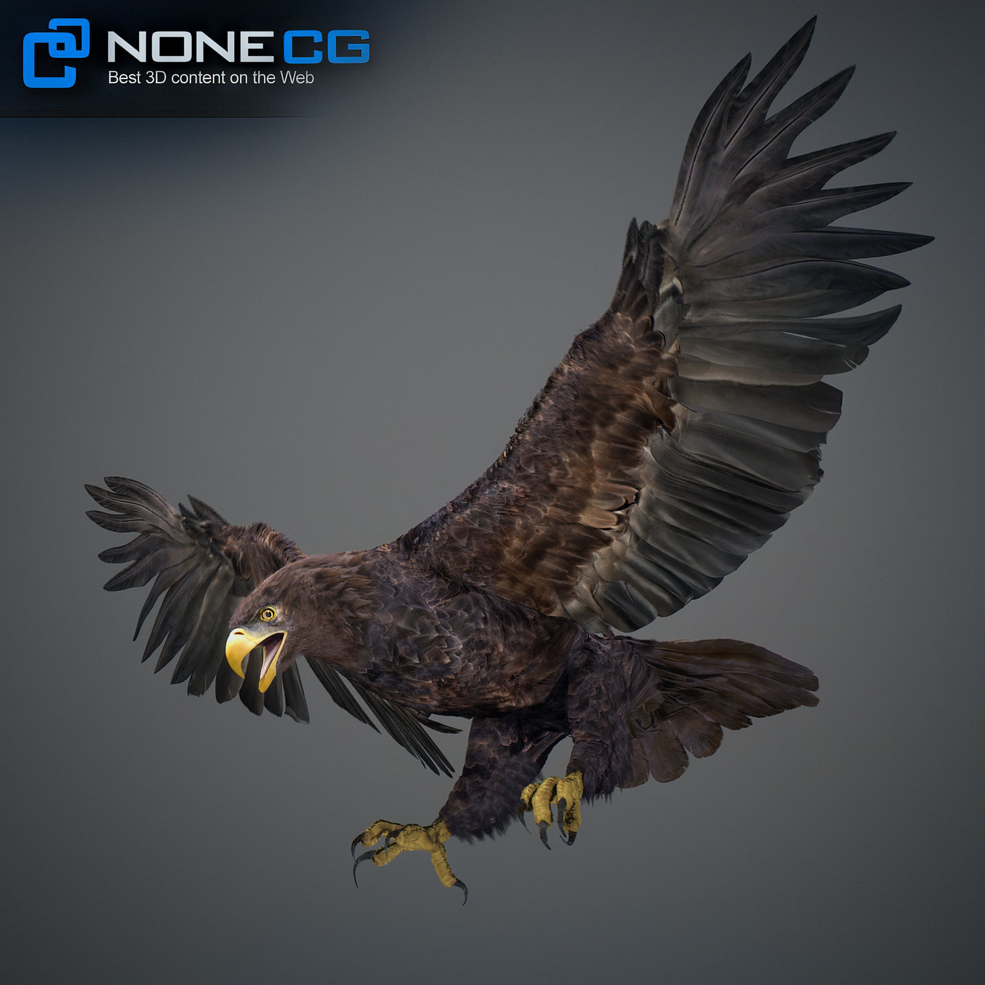 Animated Golden Eagle 3D model_5