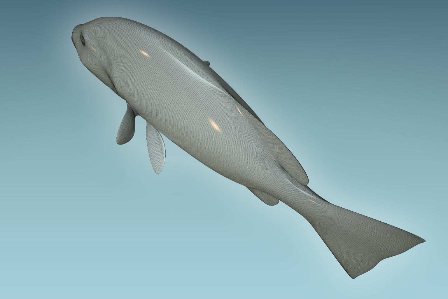 Snapper Fish 3D model_8
