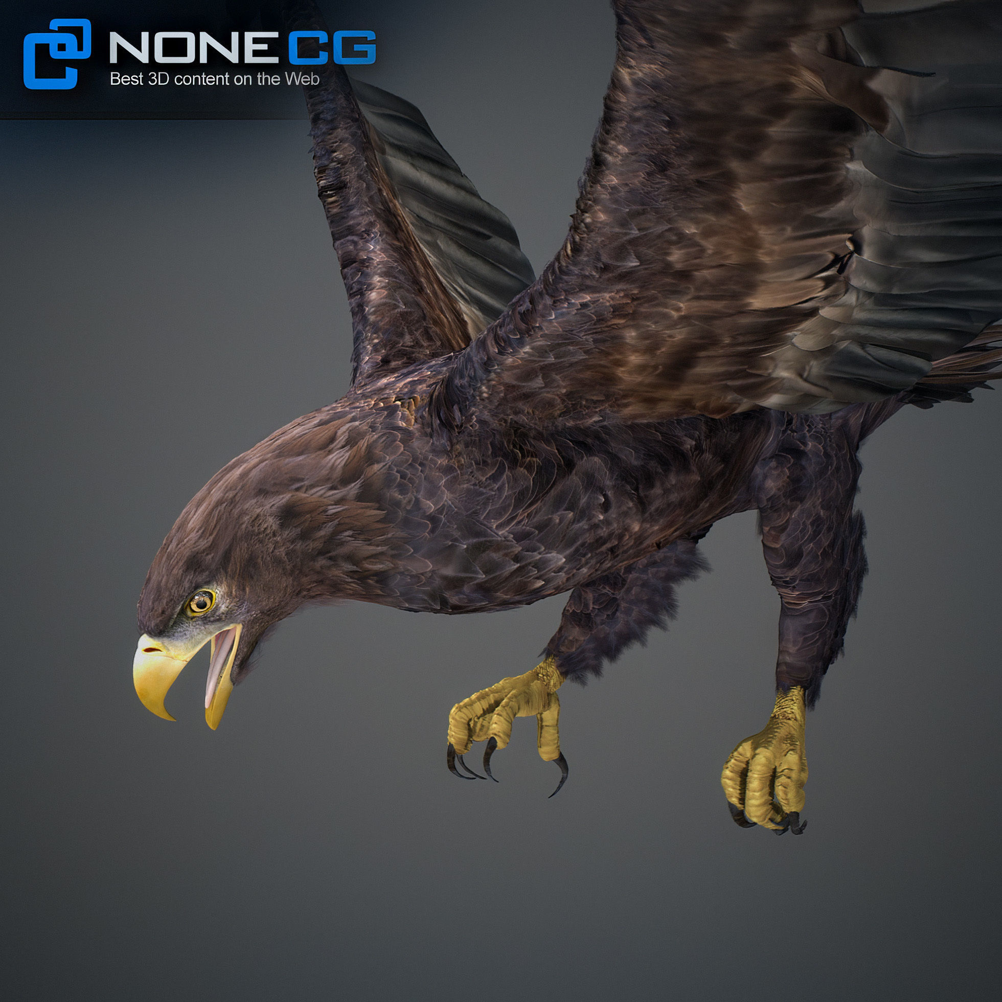 Animated Eagles 3D model_38